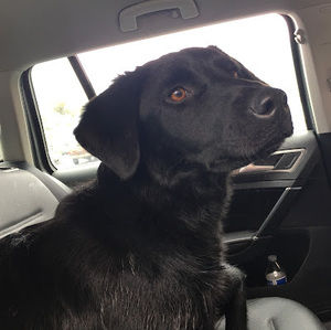 Meet your Posher, Triston